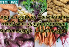 கோடை காலத்தில் உடலை குளிர்விக்கும் உணவுகள் 1 1