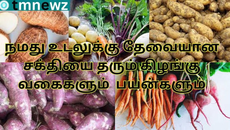 கோடை காலத்தில் உடலை குளிர்விக்கும் உணவுகள் 1 1